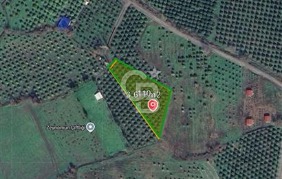 Muğla Köyceğiz Toparlar'da 3.550 m² Satılık Narenciye Bahçesi