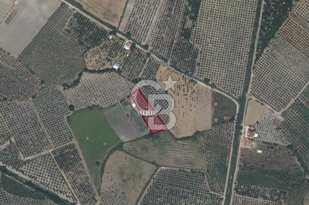 Köyceğiz'de 3.550 m² Satılık Narenciye Bahçesi