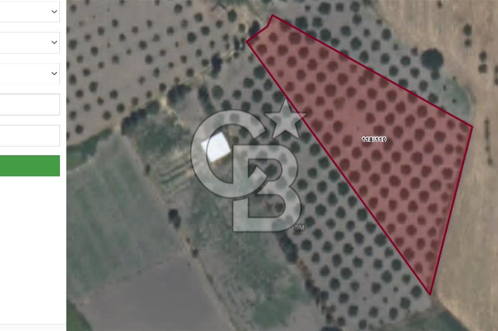 Muğla Köyceğiz Toparlar'da 3.550 m² Satılık Narenciye Bahçesi