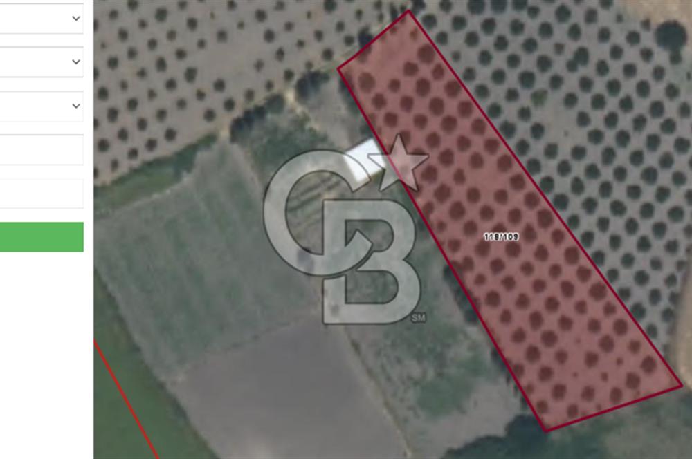 Köyceğiz'de 3.550 m² Satılık Narenciye Bahçesi