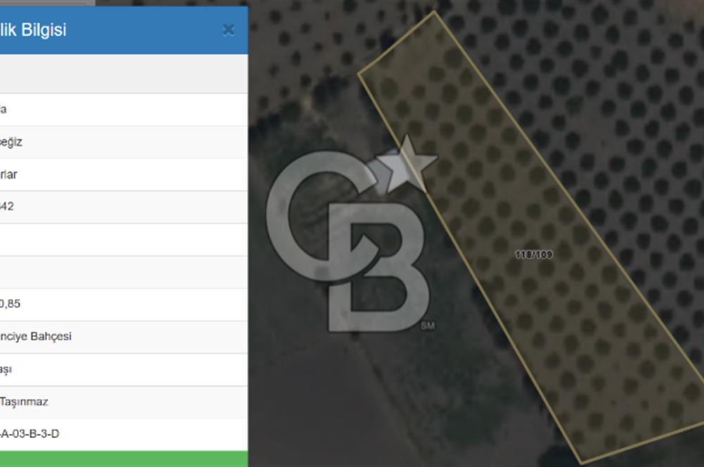 Köyceğiz'de 3.550 m² Satılık Narenciye Bahçesi
