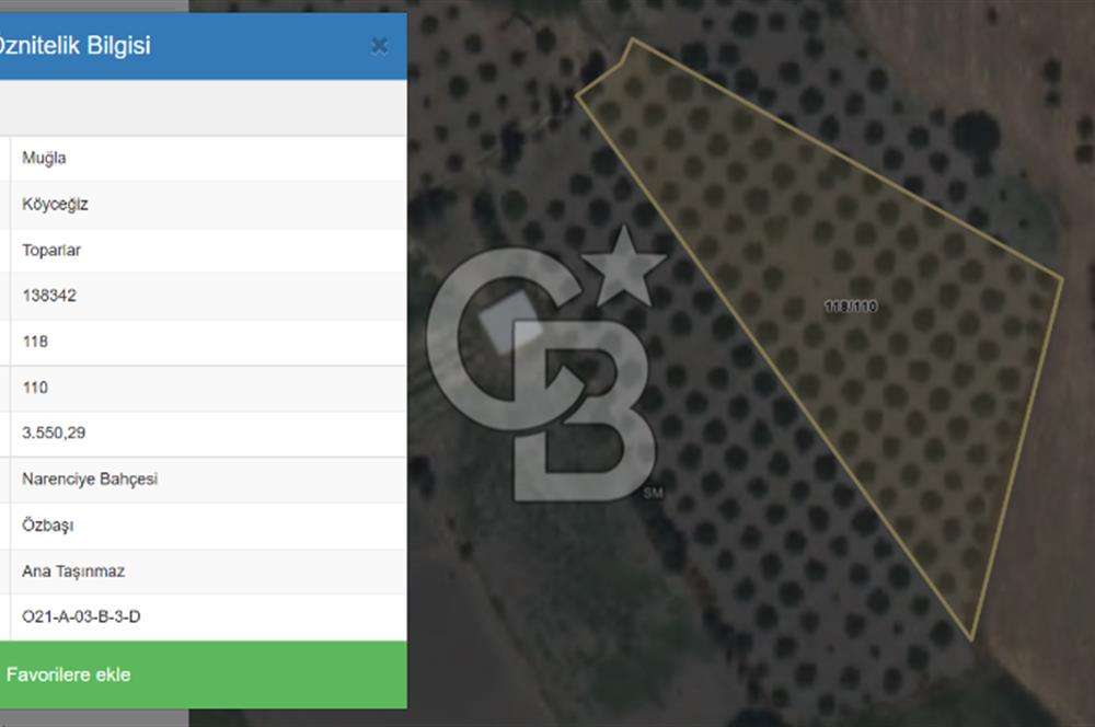 Muğla Köyceğiz Toparlar'da 3.550 m² Satılık Narenciye Bahçesi