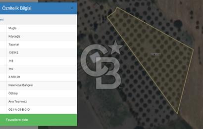 Muğla Köyceğiz Toparlar'da 3.550 m² Satılık Narenciye Bahçesi