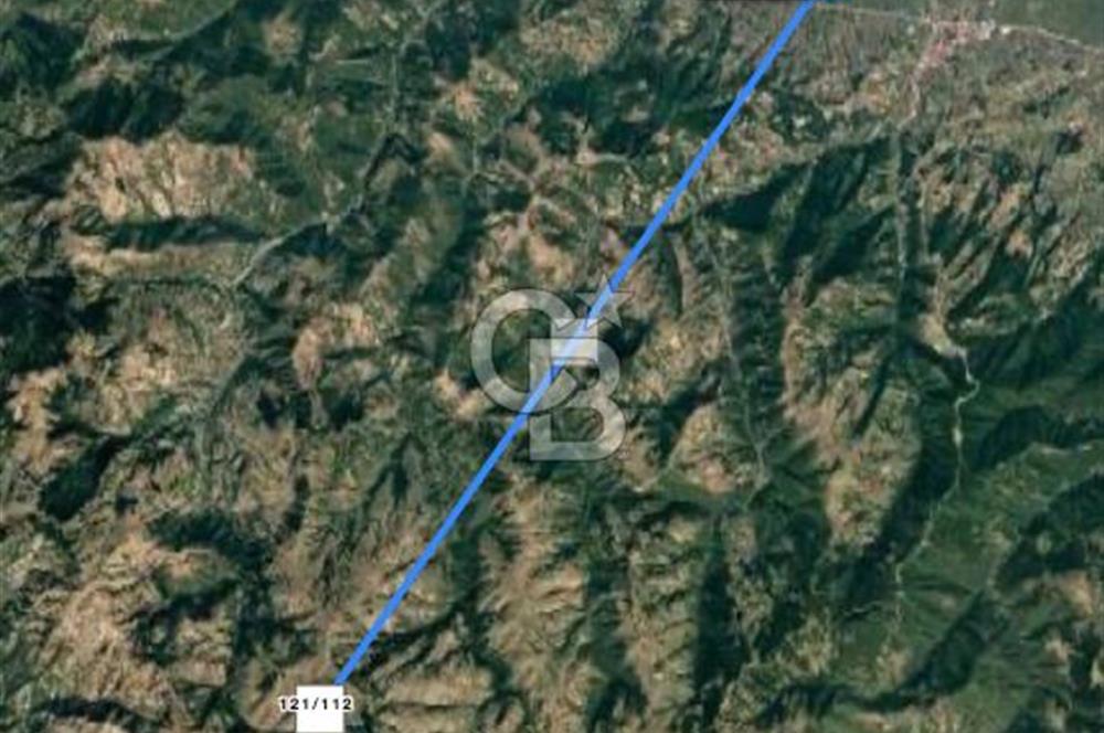 ALAÇAMDA SATILIK TARLA