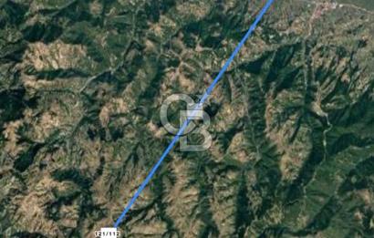 ALAÇAMDA SATILIK TARLA