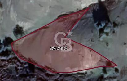 ALAÇAMDA SATILIK TARLA