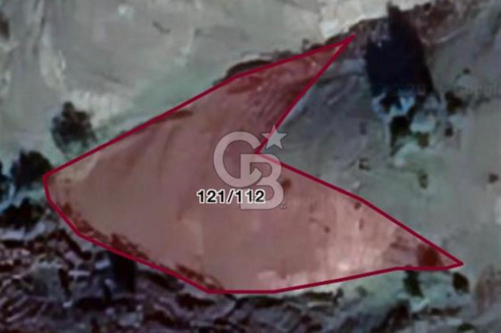 ALAÇAMDA SATILIK TARLA