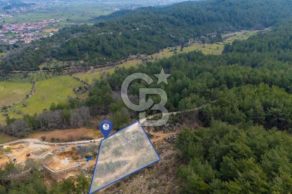 Yatırım ve Hobi Bahçesi İçin Uygun – Yenice Satılık Tarla