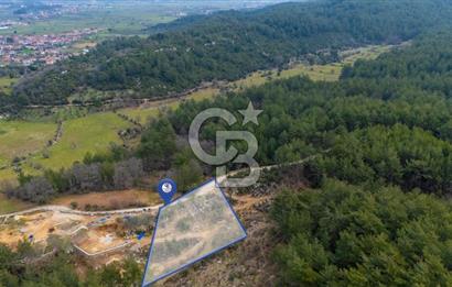 Yatırım ve Hobi Bahçesi İçin Uygun – Yenice Satılık Tarla