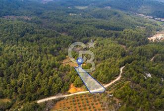 Yenice’de Kadastral Yolu Olan Satılık Tarla - 2 - 339406