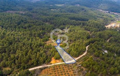 Yenice’de Kadastral Yolu Olan Satılık Tarla