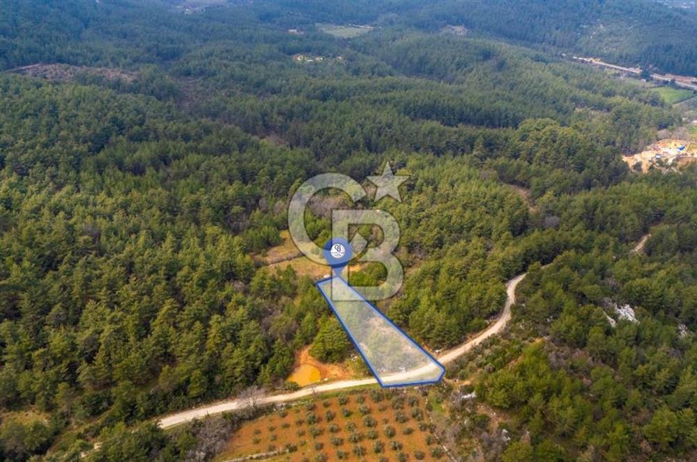 Yenice’de Kadastral Yolu Olan Satılık Tarla