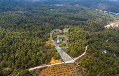 Yenice’de Kadastral Yolu Olan Satılık Tarla