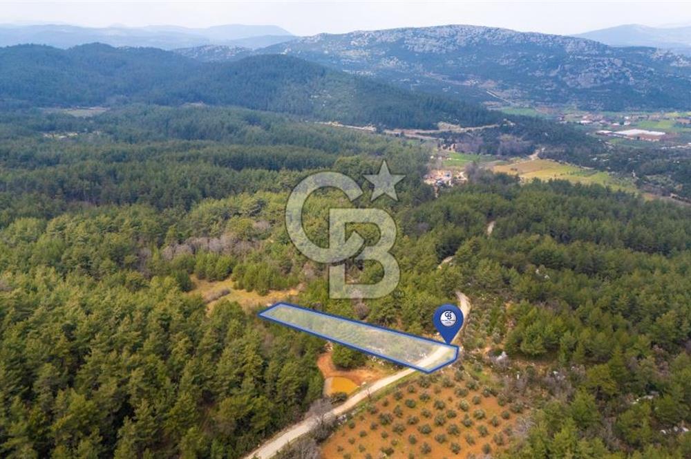 Yenice’de Kadastral Yolu Olan Satılık Tarla