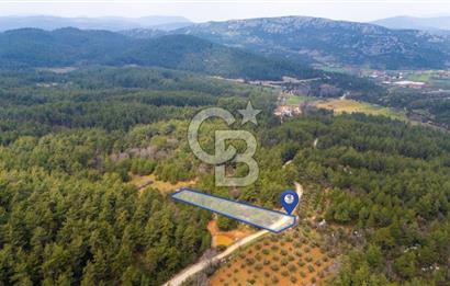 Yenice’de Kadastral Yolu Olan Satılık Tarla