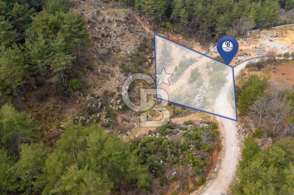 Yatırım ve Hobi Bahçesi İçin Uygun – Yenice Satılık Tarla