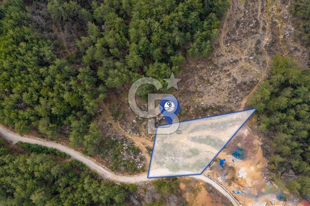 Yatırım ve Hobi Bahçesi İçin Uygun – Yenice Satılık Tarla