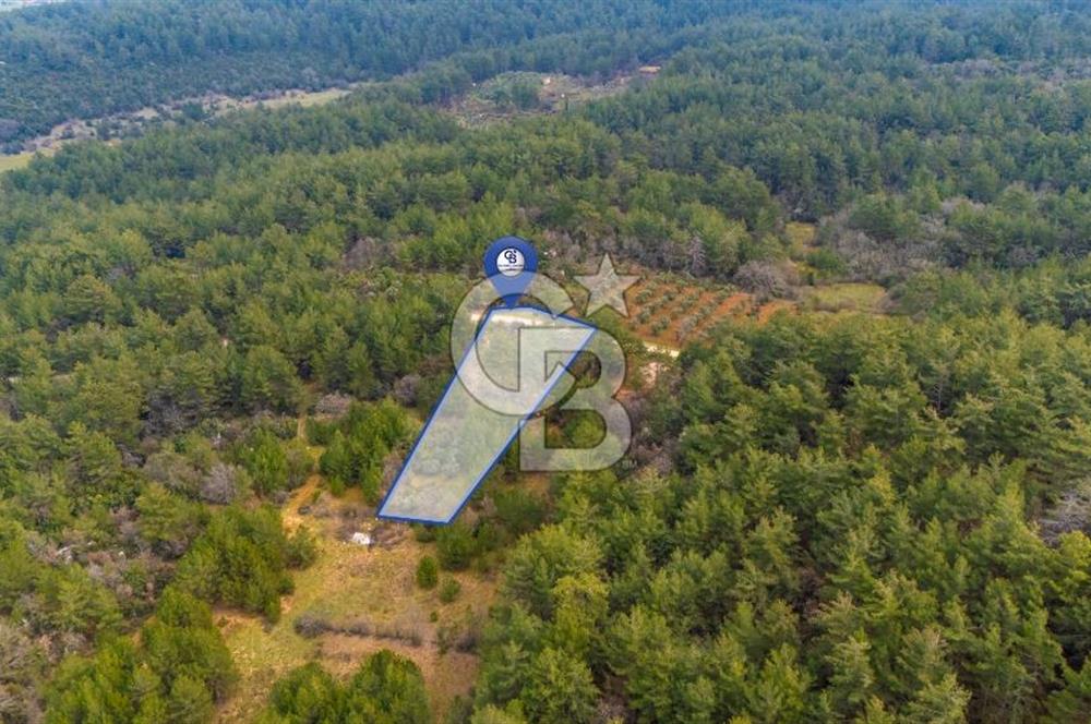 Yenice’de Kadastral Yolu Olan Satılık Tarla