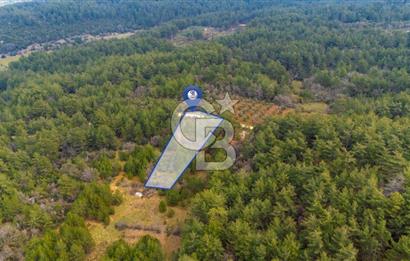 Yenice’de Kadastral Yolu Olan Satılık Tarla