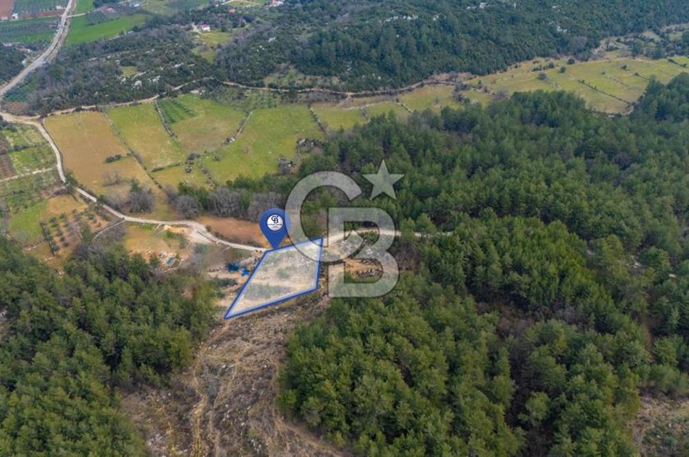 Yatırım ve Hobi Bahçesi İçin Uygun – Yenice Satılık Tarla