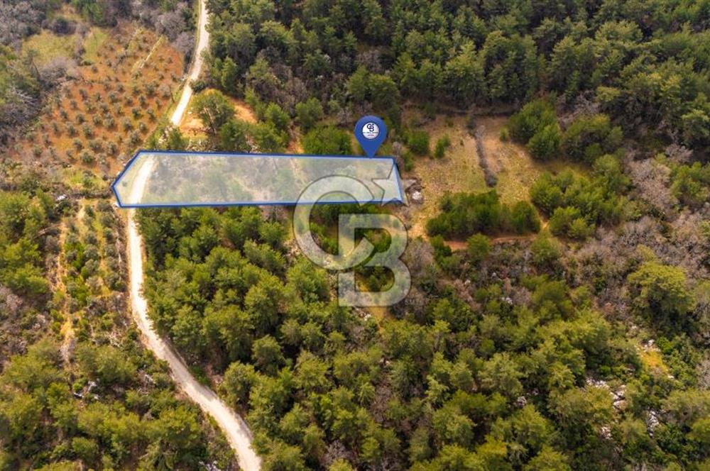 Yenice’de Kadastral Yolu Olan Satılık Tarla