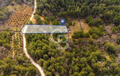 Yenice’de Kadastral Yolu Olan Satılık Tarla