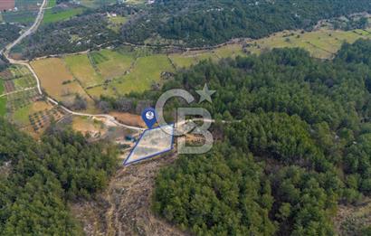 Yatırım ve Hobi Bahçesi İçin Uygun – Yenice Satılık Tarla