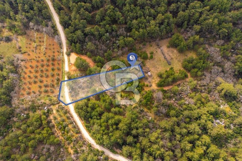 Yenice’de Kadastral Yolu Olan Satılık Tarla