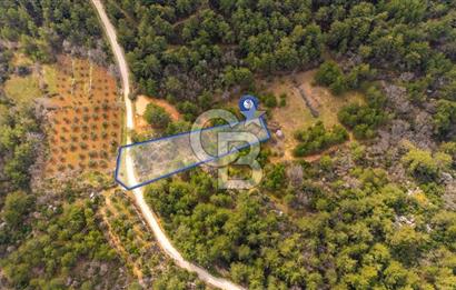 Yenice’de Kadastral Yolu Olan Satılık Tarla