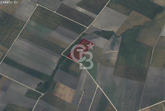 CB AMBIANCE'DAN BANDIRMA/DOĞRUCA'DA 20.138 M2 SATILIK TARLA - 4 - 339392