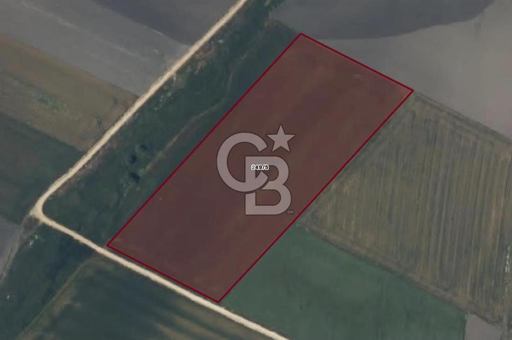CB AMBIANCE'DAN BANDIRMA/DOĞRUCA'DA 20.138 M2 SATILIK TARLA