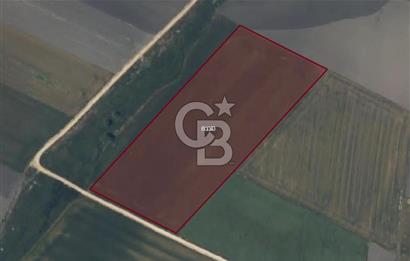 CB AMBIANCE'DAN BANDIRMA/DOĞRUCA'DA 20.138 M2 SATILIK TARLA