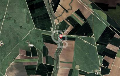 CB AMBIANCE'DAN BANDIRMA/DOĞRUCA'DA 10.534 M2 SATILIK TARLA