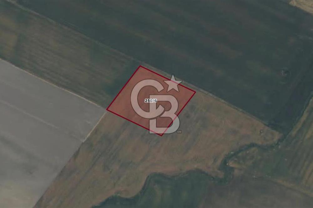 CB AMBIANCE'DAN BANDIRMA/DOĞRUCA'DA 5.386 M2 SATILIK TARLA