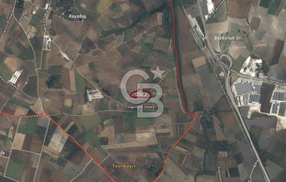 CB AMBIANCE'DAN BANDIRMA/DOĞRUCA KÖYÜNDE 16.440 M2 SATILIK TARLA