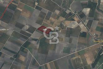 CB AMBIANCE'DAN BANDIRMA/DOĞRUCA'DA 40.669 M2 SATILIK TARLA - 2 - 339394