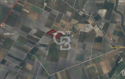 CB AMBIANCE'DAN BANDIRMA/DOĞRUCA'DA 40.669 M2 SATILIK TARLA
