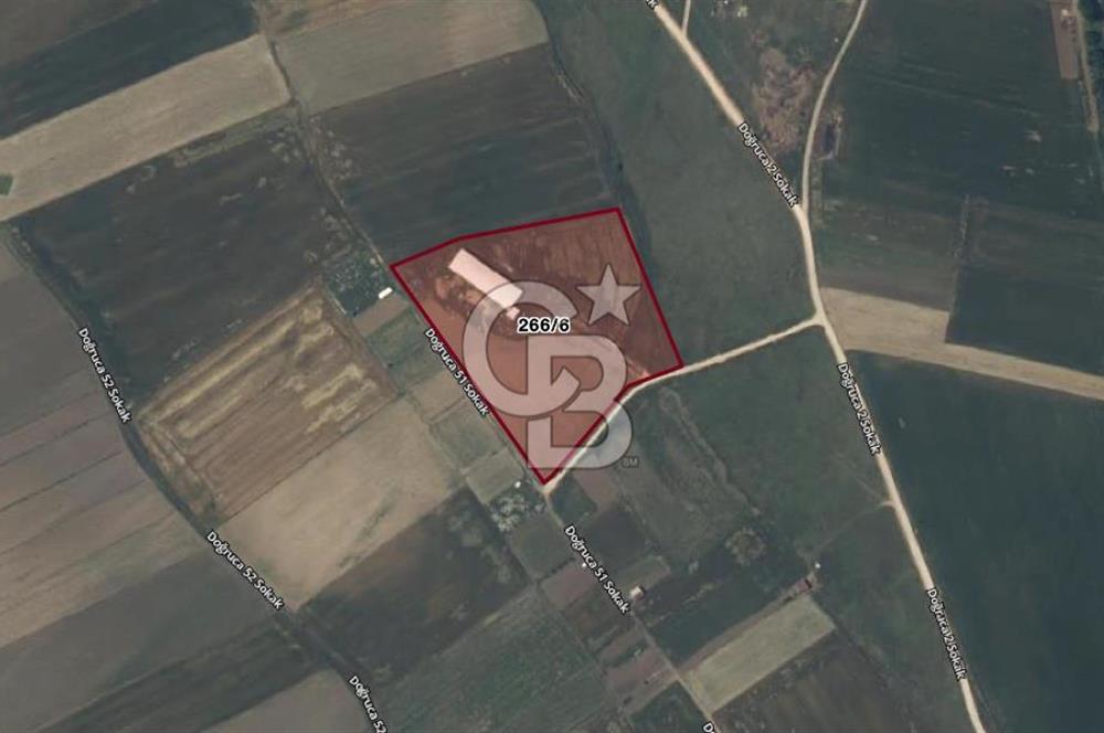 CB AMBIANCE'DAN BANDIRMA/DOĞRUCA'DA 20 DÖNÜM SATILIK ÇİFTLİK