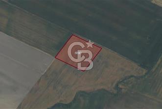 CB AMBIANCE'DAN BANDIRMA/DOĞRUCA'DA 5.386 M2 SATILIK TARLA - 3 - 339393