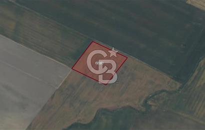 CB AMBIANCE'DAN BANDIRMA/DOĞRUCA'DA 5.386 M2 SATILIK TARLA