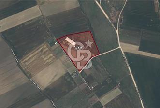 CB AMBIANCE'DAN BANDIRMA/DOĞRUCA'DA 20 DÖNÜM SATILIK ÇİFTLİK - 5 - 339391