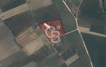 CB AMBIANCE'DAN BANDIRMA/DOĞRUCA'DA 20 DÖNÜM SATILIK ÇİFTLİK