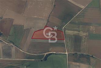 CB AMBIANCE'DAN BANDIRMA/DOĞRUCA KÖYÜNDE 16.440 M2 SATILIK TARLA - 1 - 339395