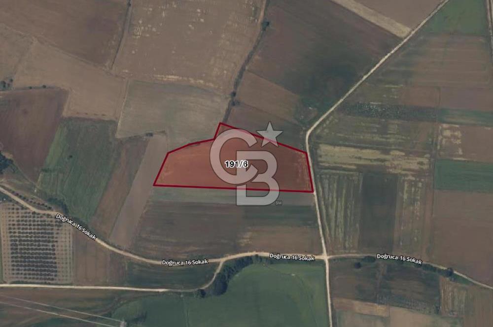 CB AMBIANCE'DAN BANDIRMA/DOĞRUCA KÖYÜNDE 16.440 M2 SATILIK TARLA