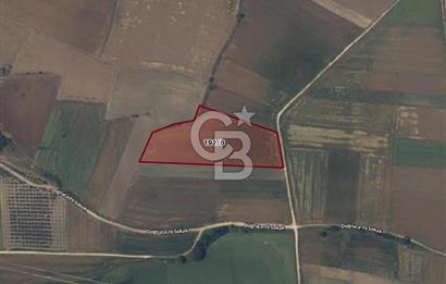 CB AMBIANCE'DAN BANDIRMA/DOĞRUCA KÖYÜNDE 16.440 M2 SATILIK TARLA