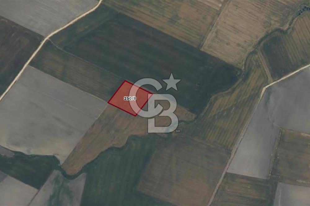 CB AMBIANCE'DAN BANDIRMA/DOĞRUCA'DA 40.669 M2 SATILIK TARLA