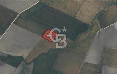CB AMBIANCE'DAN BANDIRMA/DOĞRUCA'DA 40.669 M2 SATILIK TARLA