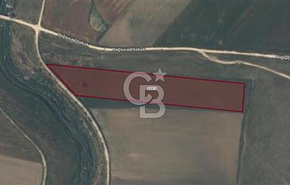CB AMBIANCE'DAN BANDIRMA/DOĞRUCA'DA 10.534 M2 SATILIK TARLA