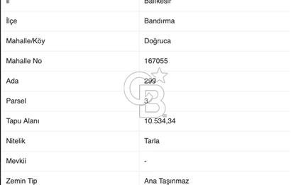 CB AMBIANCE'DAN BANDIRMA/DOĞRUCA'DA 10.534 M2 SATILIK TARLA