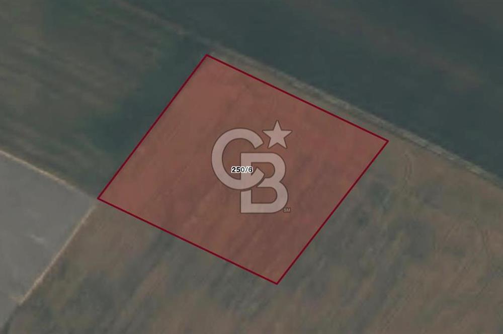 CB AMBIANCE'DAN BANDIRMA/DOĞRUCA'DA 5.386 M2 SATILIK TARLA